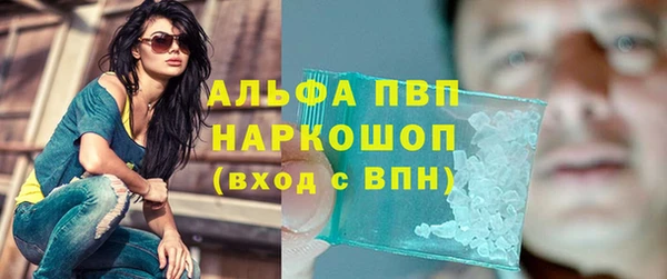 прущие грибы Богородск