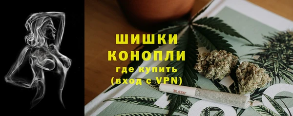 прущий лед Богородицк