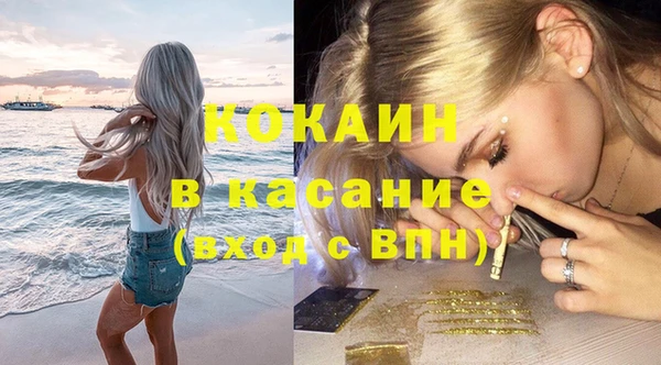 прущие грибы Богородск