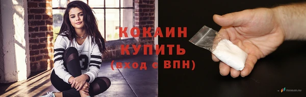 прущие грибы Богородск