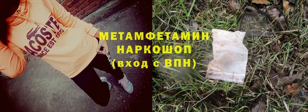 прущие грибы Богородск