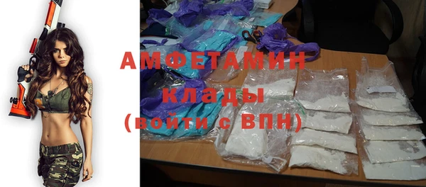 прущие грибы Богородск